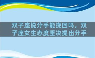 双子座说分手能挽回吗，双子座女生态度坚决提出分手