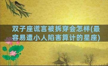 双子座谎言被拆穿会怎样(最容易遭小人陷害算计的星座)