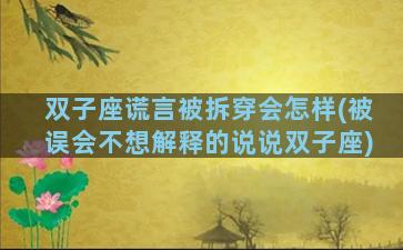 双子座谎言被拆穿会怎样(被误会不想解释的说说双子座)