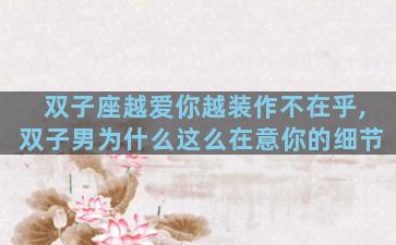 双子座越爱你越装作不在乎,双子男为什么这么在意你的细节