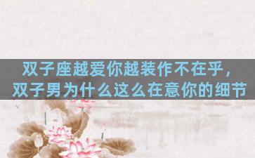 双子座越爱你越装作不在乎，双子男为什么这么在意你的细节