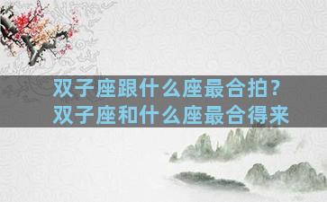 双子座跟什么座最合拍？双子座和什么座最合得来