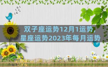 双子座运势12月1运势,星座运势2023年每月运势