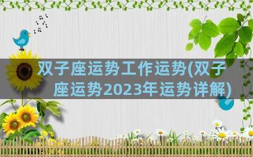 双子座运势工作运势(双子座运势2023年运势详解)