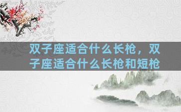 双子座适合什么长枪，双子座适合什么长枪和短枪