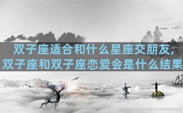 双子座适合和什么星座交朋友,双子座和双子座恋爱会是什么结果