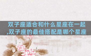 双子座适合和什么星座在一起,双子座的最佳搭配是哪个星座