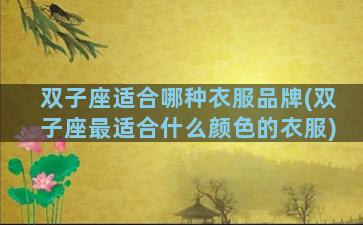 双子座适合哪种衣服品牌(双子座最适合什么颜色的衣服)