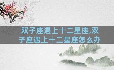 双子座遇上十二星座,双子座遇上十二星座怎么办