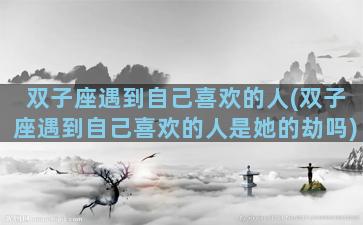 双子座遇到自己喜欢的人(双子座遇到自己喜欢的人是她的劫吗)