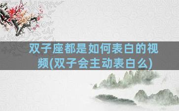 双子座都是如何表白的视频(双子会主动表白么)