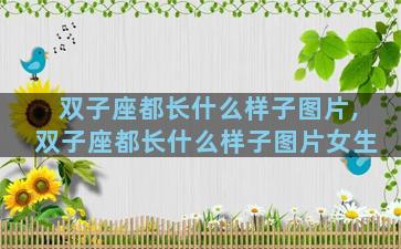 双子座都长什么样子图片,双子座都长什么样子图片女生