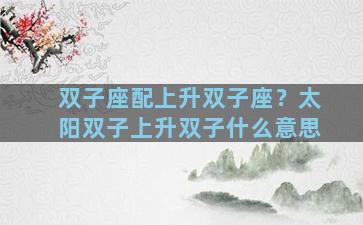 双子座配上升双子座？太阳双子上升双子什么意思