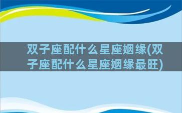 双子座配什么星座姻缘(双子座配什么星座姻缘最旺)