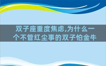 双子座重度焦虑,为什么一个不管红尘事的双子怕金牛
