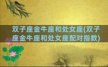 双子座金牛座和处女座(双子座金牛座和处女座配对指数)