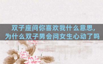 双子座问你喜欢我什么意思,为什么双子男会问女生心动了吗