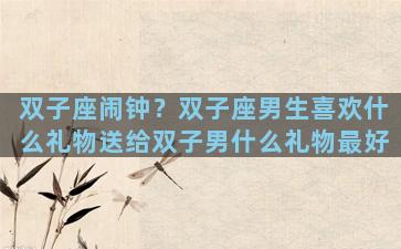 双子座闹钟？双子座男生喜欢什么礼物送给双子男什么礼物最好