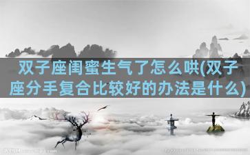 双子座闺蜜生气了怎么哄(双子座分手复合比较好的办法是什么)