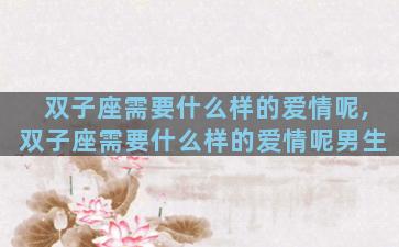 双子座需要什么样的爱情呢,双子座需要什么样的爱情呢男生