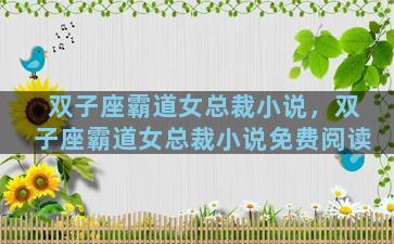 双子座霸道女总裁小说，双子座霸道女总裁小说免费阅读