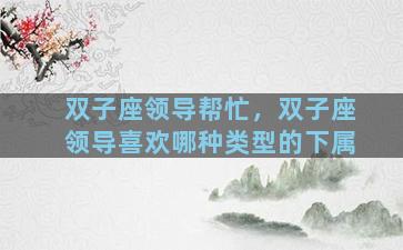 双子座领导帮忙，双子座领导喜欢哪种类型的下属