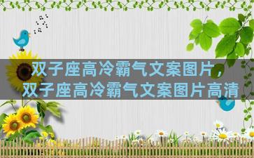 双子座高冷霸气文案图片，双子座高冷霸气文案图片高清