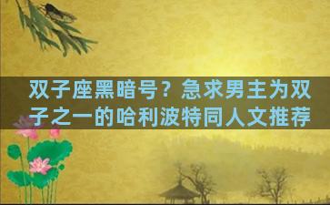 双子座黑暗号？急求男主为双子之一的哈利波特同人文推荐