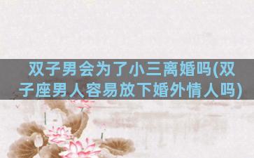 双子男会为了小三离婚吗(双子座男人容易放下婚外情人吗)