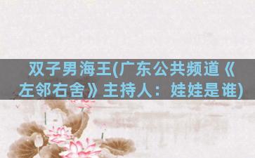 双子男海王(广东公共频道《左邻右舍》主持人：娃娃是谁)