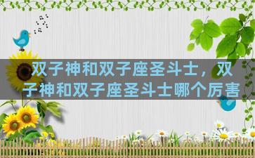 双子神和双子座圣斗士，双子神和双子座圣斗士哪个厉害