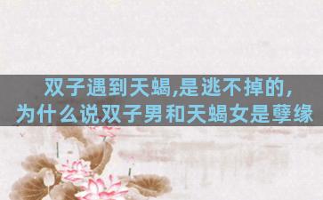 双子遇到天蝎,是逃不掉的,为什么说双子男和天蝎女是孽缘