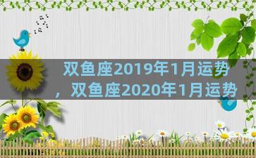 双鱼座2019年1月运势，双鱼座2020年1月运势