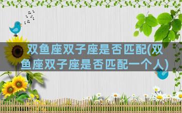 双鱼座双子座是否匹配(双鱼座双子座是否匹配一个人)