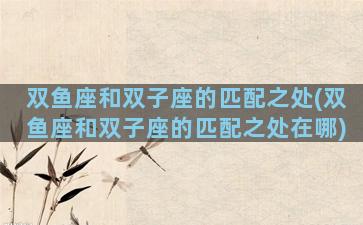 双鱼座和双子座的匹配之处(双鱼座和双子座的匹配之处在哪)