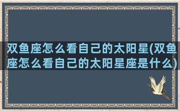 双鱼座怎么看自己的太阳星(双鱼座怎么看自己的太阳星座是什么)