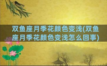 双鱼座月季花颜色变浅(双鱼座月季花颜色变浅怎么回事)