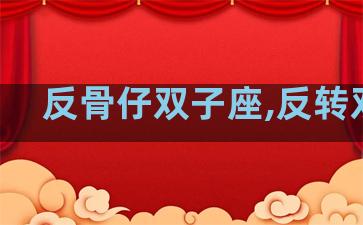 反骨仔双子座,反转双子