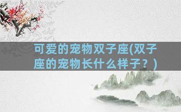 可爱的宠物双子座(双子座的宠物长什么样子？)