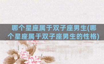 哪个星座属于双子座男生(哪个星座属于双子座男生的性格)