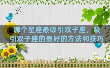 哪个星座最吸引双子座，吸引双子座的最好的方法和技巧