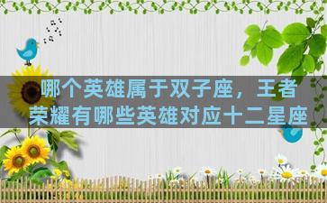 哪个英雄属于双子座，王者荣耀有哪些英雄对应十二星座
