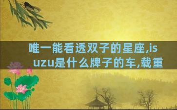 唯一能看透双子的星座,isuzu是什么牌子的车,载重