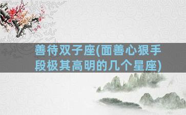 善待双子座(面善心狠手段极其高明的几个星座)