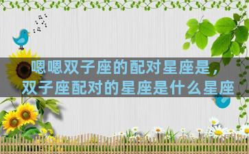 嗯嗯双子座的配对星座是，双子座配对的星座是什么星座