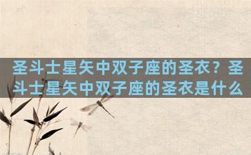 圣斗士星矢中双子座的圣衣？圣斗士星矢中双子座的圣衣是什么
