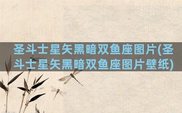 圣斗士星矢黑暗双鱼座图片(圣斗士星矢黑暗双鱼座图片壁纸)