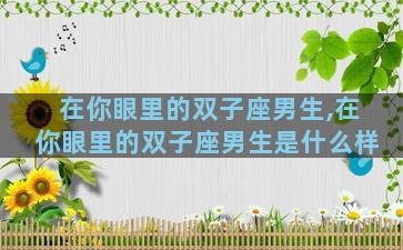 在你眼里的双子座男生,在你眼里的双子座男生是什么样