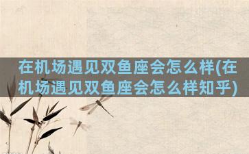 在机场遇见双鱼座会怎么样(在机场遇见双鱼座会怎么样知乎)