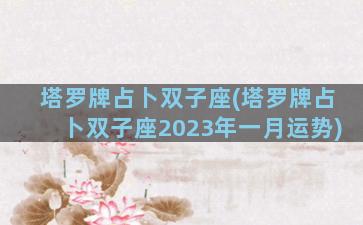 塔罗牌占卜双子座(塔罗牌占卜双子座2023年一月运势)